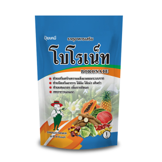 โบโรเน็ท