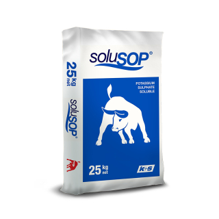 0-0-50 SOLUSOP (โพแทสเซียมซัลเฟต)